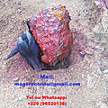 Puissant rituel de protection du marabout compétent debayo