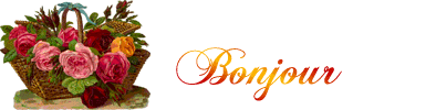 Rose003-bonjour