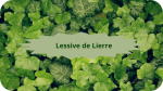 13 LIERRELessive de Lierre-modified(1)
