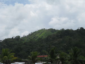 IMG_0380