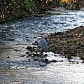 IMG_3789