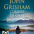 L'ombre de gray mountain, de john grisham