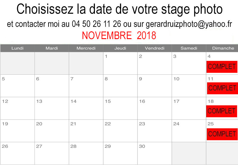 NOVEMBRE