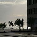 IMG_3290