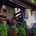 _IGP7768