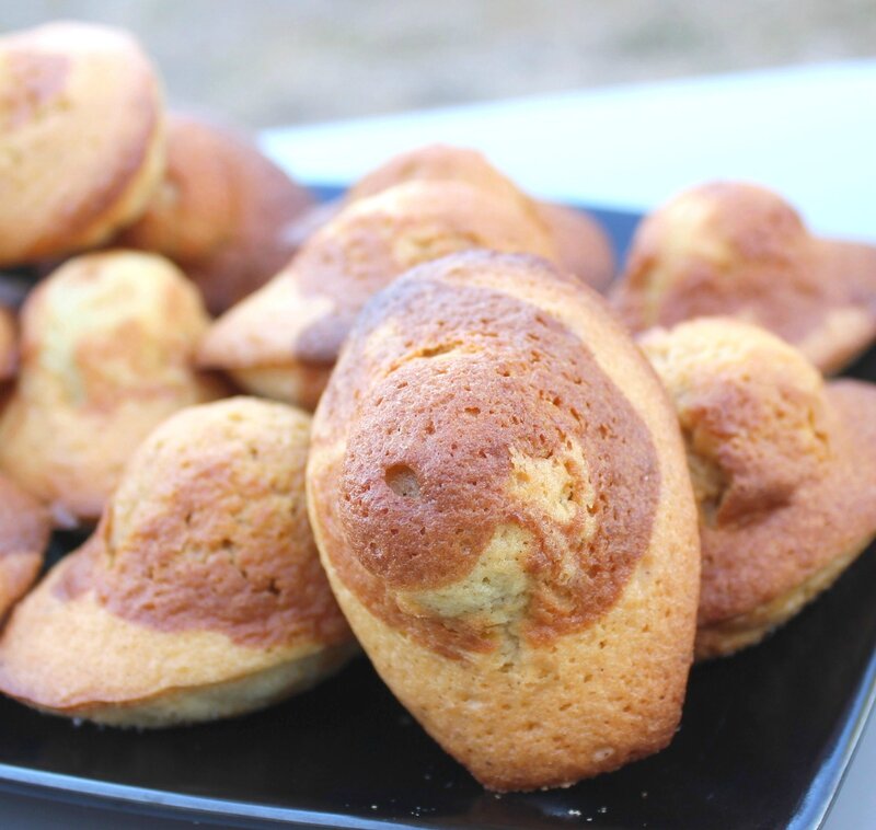 Madeleines marbrées vanille praliné (2)