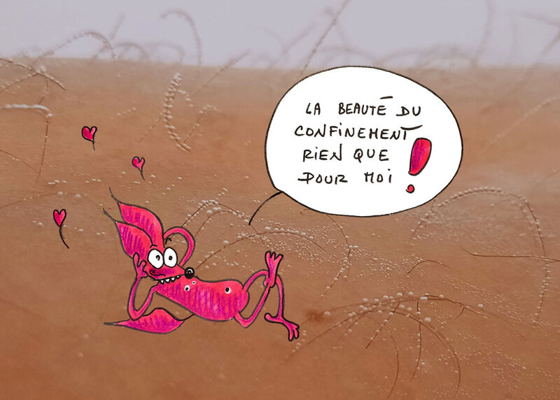 confifi-biouti blog