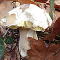 DSC06701