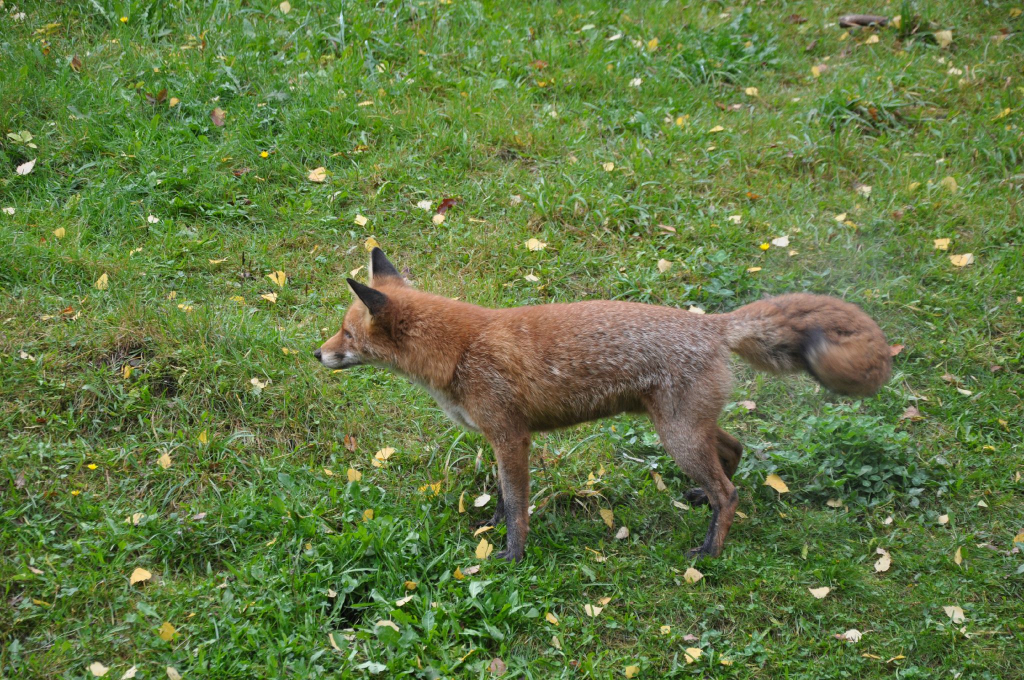 DSC_1429