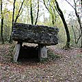 Table de dolmen feuilletée