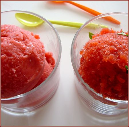 prsentation_des_deux_glaces