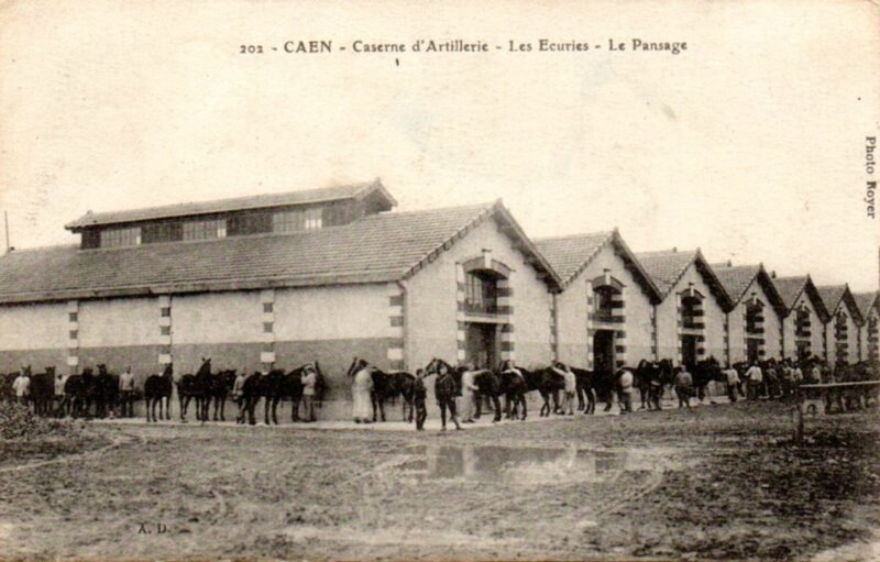 202 - Caen caserne d'artillerie - Les écuries - Le pansage (carte postale coll. Verney-grandeguerre)