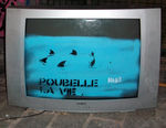 20110919SharksPoubelleLaViePixPedroWeb003