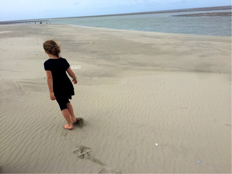 Une journée en baie de Somme [LIBERTE]