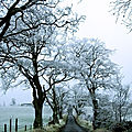 Table de nuit tronc d arbre