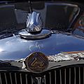 _IGP5989