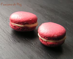 novembre_2008___macarons_au_pain_d__pice_et___la_figue__1_