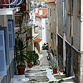 P1000500