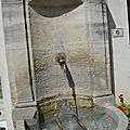 _DSC0548