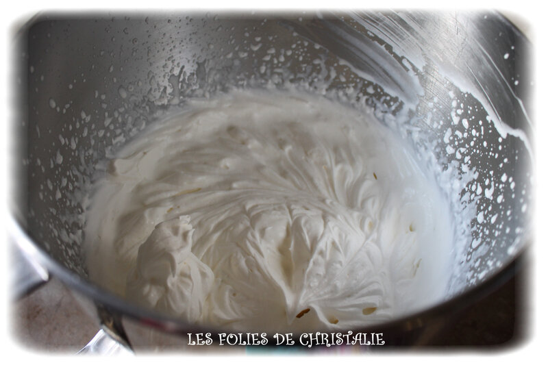 Entremets chocolat 13