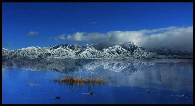 carlos alberto bau 19