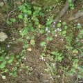 DSC07266