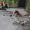 _DSC0010
