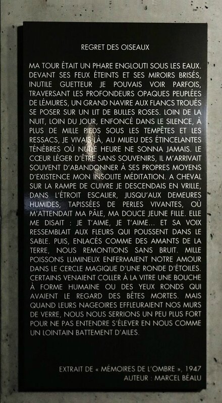 wbl_Regret des oiseaux_Mémoires de l'ombre_20160121_6290