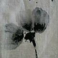 20150618_160937_resized_1
