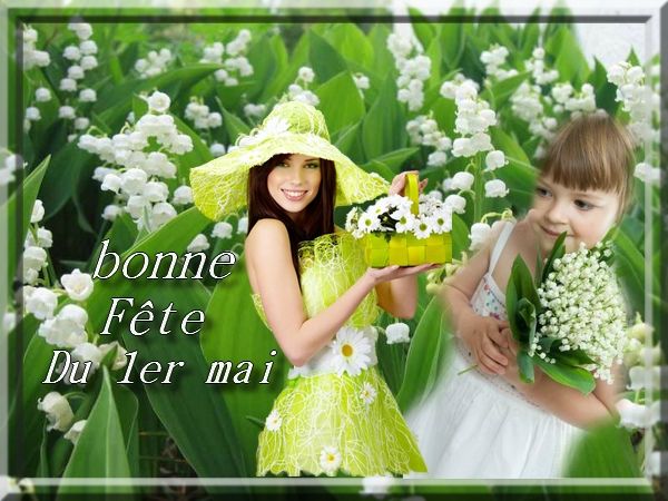 montage 1