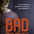 Bad - tome 2 : amour dangereux > jay crownover