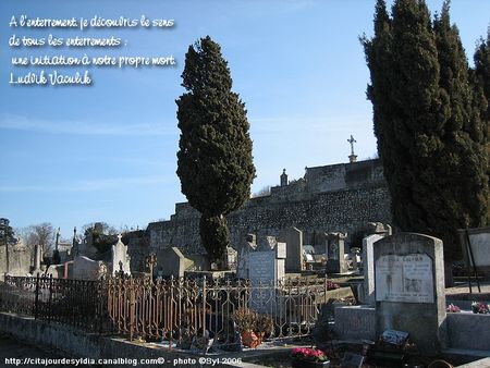s_IMG_0765
