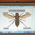 Conférence FRELONS ASIATIQUES 28 mars 2017 à CAUDROT