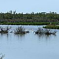Camargue vauverdoise (3)