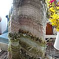 DSC01908