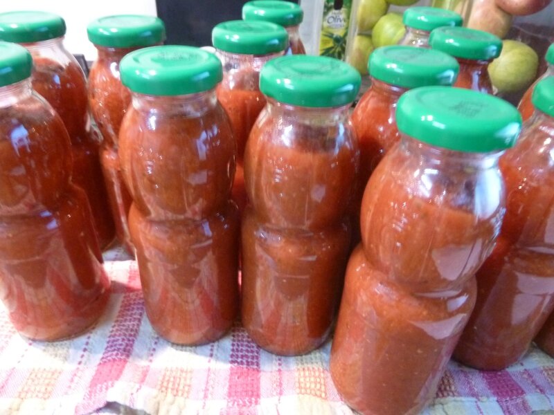 31-sauce tomates
