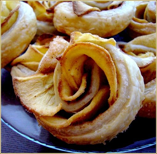 rose feuilltées gros plan