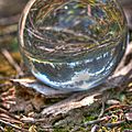 Dans ma boule de cristal...