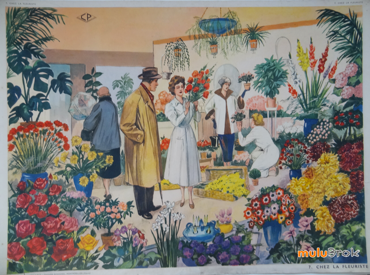 Collection Affiche SCOLAIRE LE SAPIN DE NOEL / CHEZ LA FLEURISTE