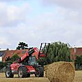 IMG_4547