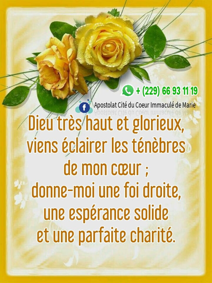 Amen Apostolat Cite Du Coeur Immacule De Marie