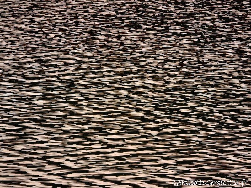 DSCN5236