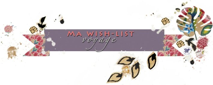 etiquette wish list voyage