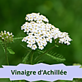 37 ACHILLEE MILLEFEUILLE(1)Vinaigre d'Achillée