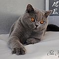_DSC0365