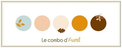 CS-Combo-Aurel-2017-11