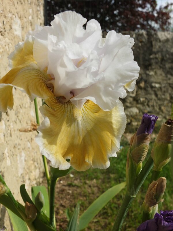 DSCF0563