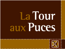 Tour au puces