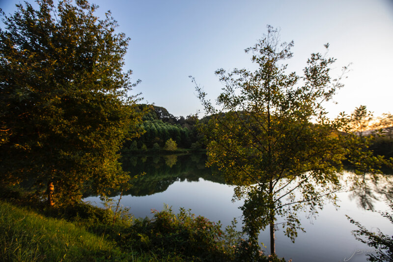 11102019-_MG_5790