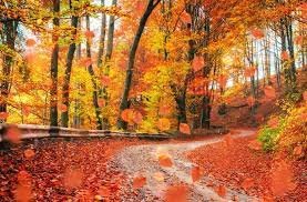 The Best Places Across the U.S. to See Fall Foliage This Autumn | KOA Camping Blog